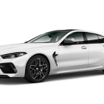 2019 BMW 530e Plug-in Hybrid iPerformance instead of bicycle - Image 5